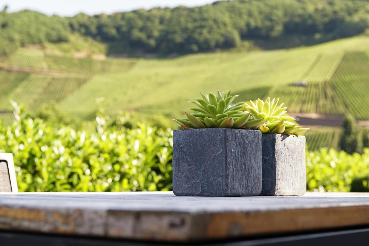 Weingut & Gaestehaus Christoph Cluesserath トリッテンハイム エクステリア 写真