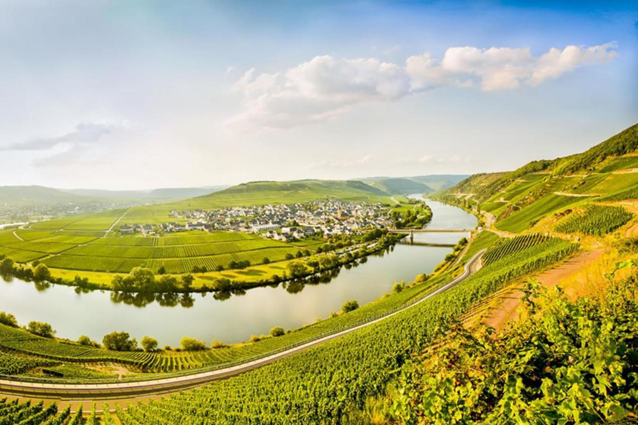 Weingut & Gaestehaus Christoph Cluesserath トリッテンハイム エクステリア 写真