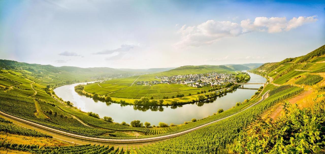 Weingut & Gaestehaus Christoph Cluesserath トリッテンハイム エクステリア 写真