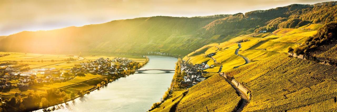 Weingut & Gaestehaus Christoph Cluesserath トリッテンハイム エクステリア 写真