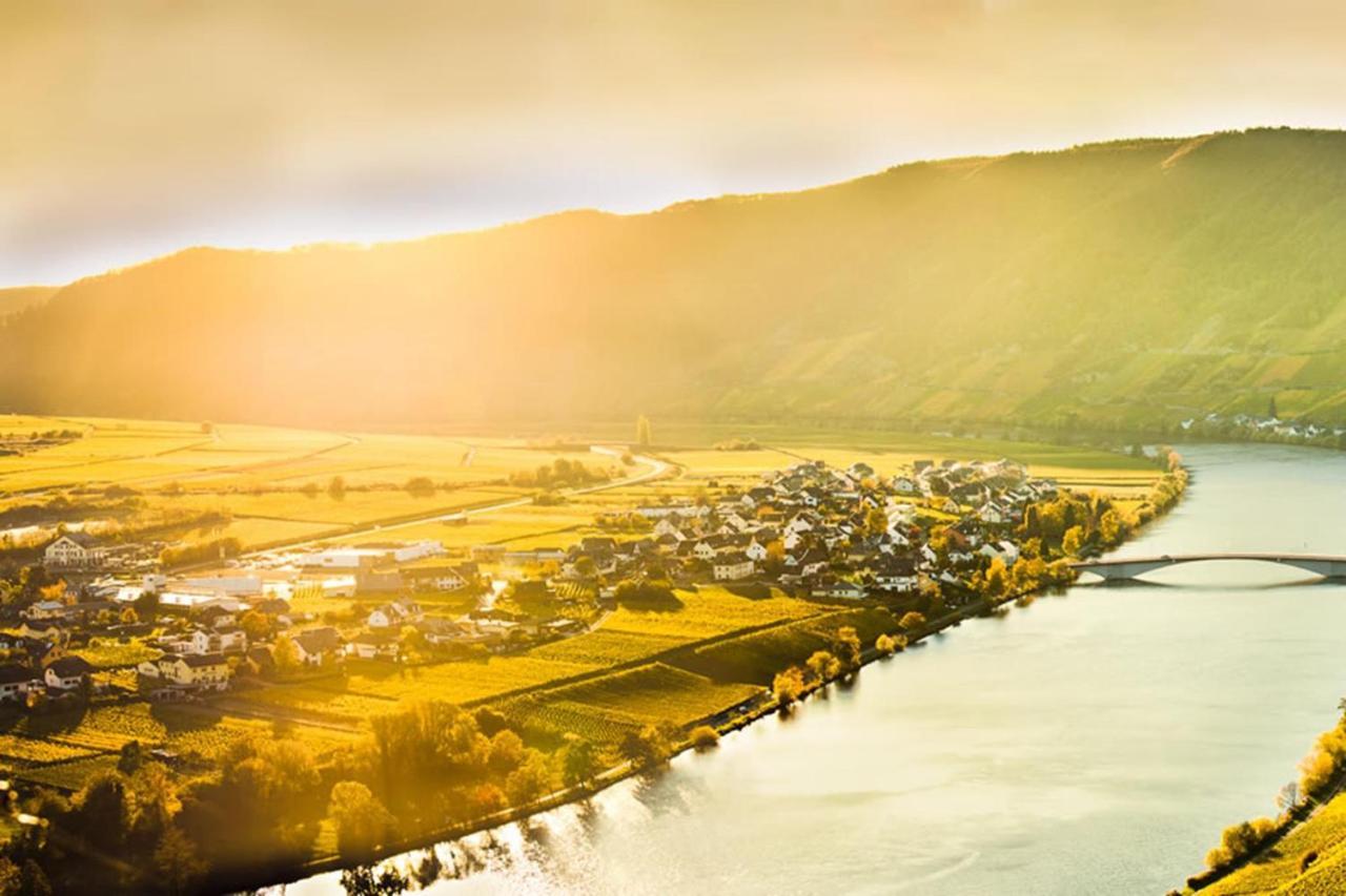 Weingut & Gaestehaus Christoph Cluesserath トリッテンハイム エクステリア 写真