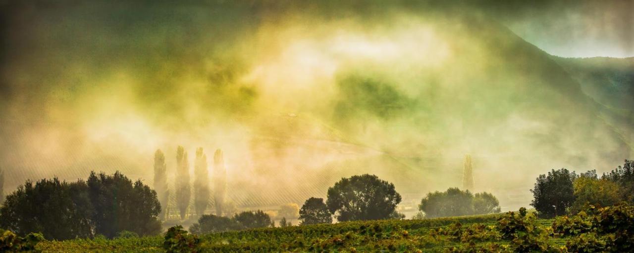 Weingut & Gaestehaus Christoph Cluesserath トリッテンハイム エクステリア 写真