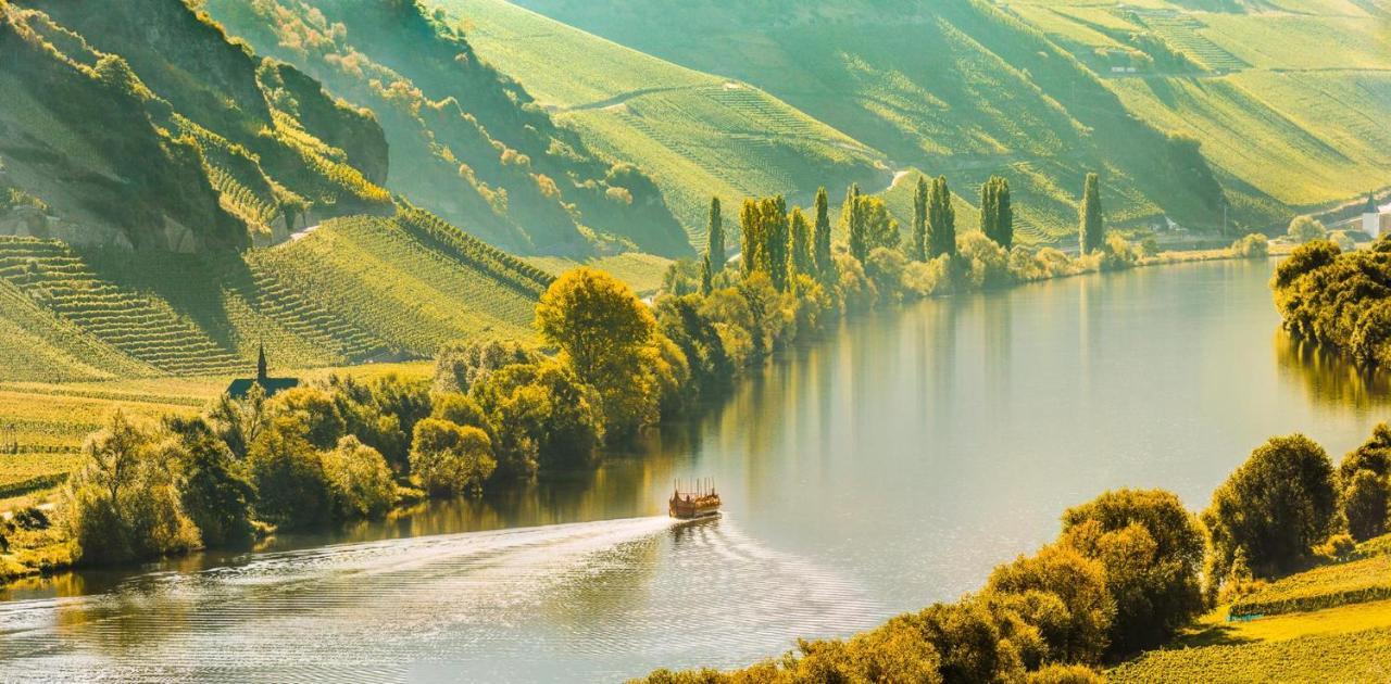 Weingut & Gaestehaus Christoph Cluesserath トリッテンハイム エクステリア 写真