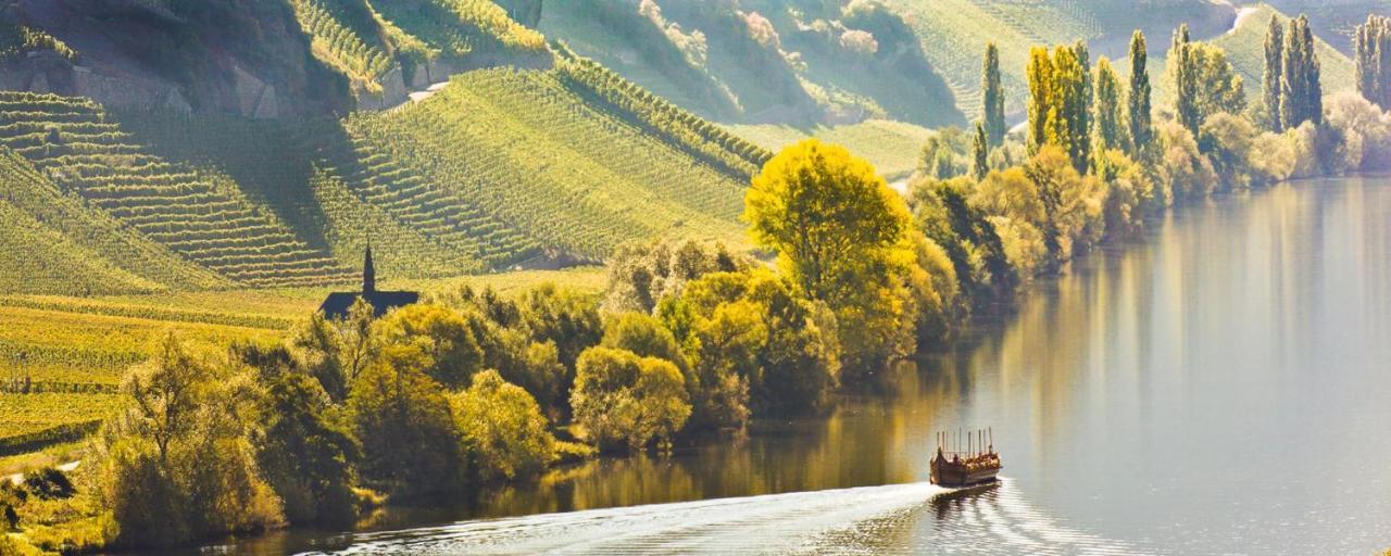 Weingut & Gaestehaus Christoph Cluesserath トリッテンハイム エクステリア 写真