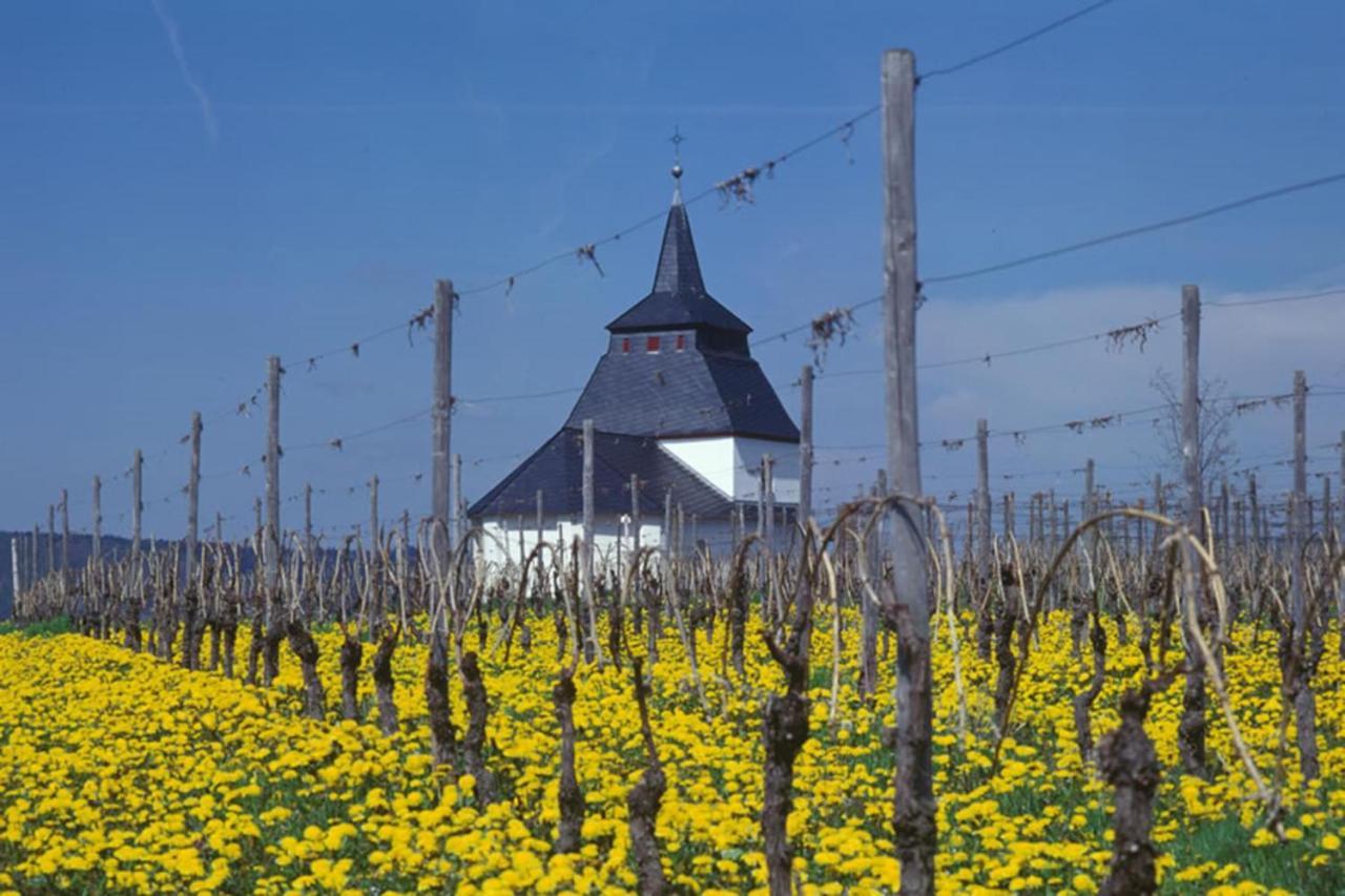 Weingut & Gaestehaus Christoph Cluesserath トリッテンハイム エクステリア 写真